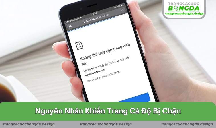 Có nhiều nguyên nhân khiến trang cá độ bị chặn truy cập