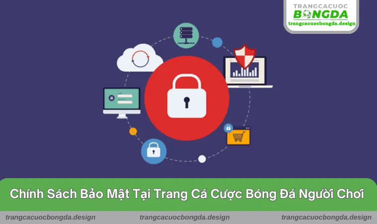 Quy định nội dung chi tiết trong Trang Cá Cược Bóng Đá