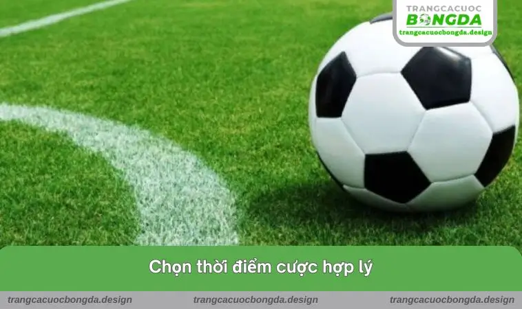 Chọn thời điểm cược hợp lý