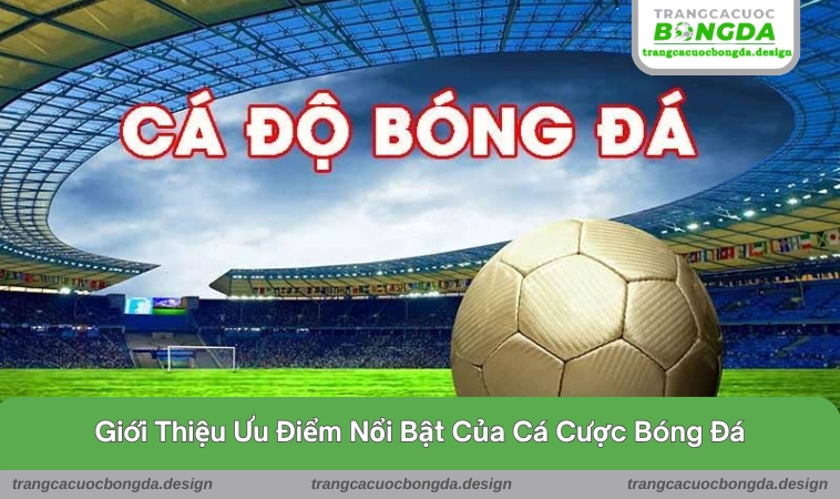 Gợi ý những ưu điểm đặc sắc giới thiệu chi tiết cho tín đồ