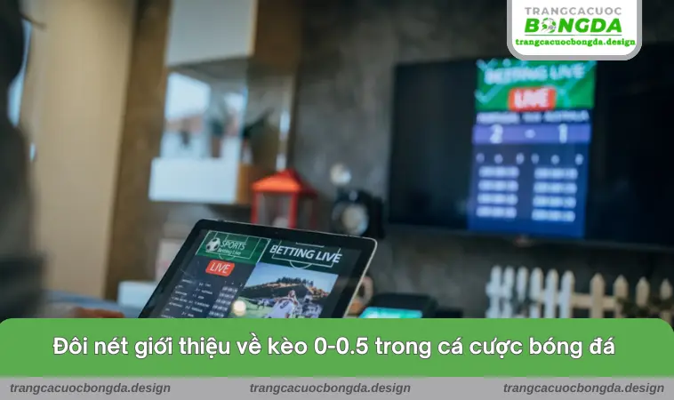 Đôi nét giới thiệu về kèo 0-0.5 trong cá cược bóng đá 