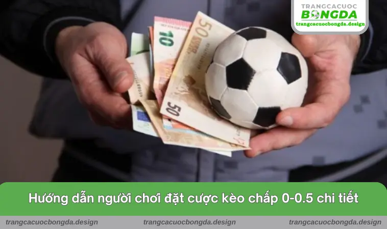 Hướng dẫn người chơi đặt cược kèo chấp 0-0.5 chi tiết