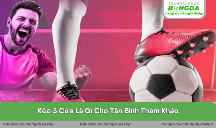 Thông tin cơ bản cần biết về kèo 3 cửa cho tân binh