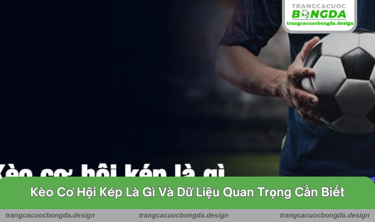 Tổng quát dữ liệu chi tiết của kèo cơ hội kép là gì