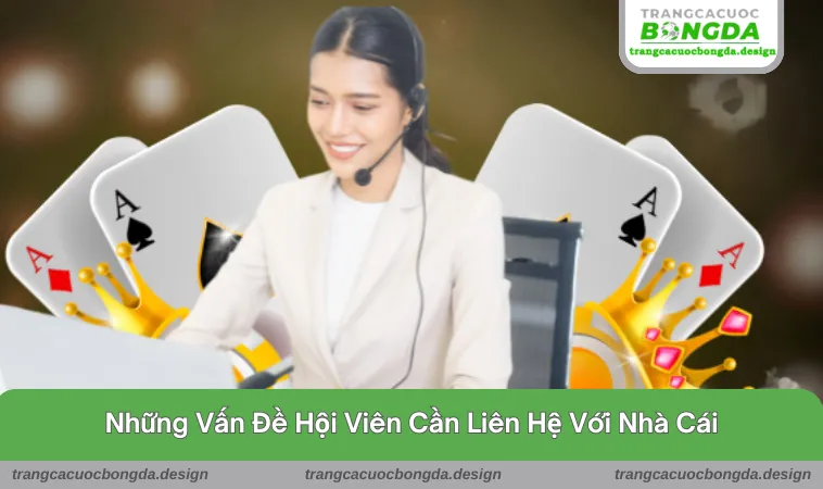 Những vấn đề mà hội viên cần liên hệ trang web