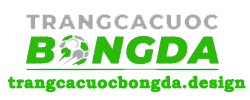 trangcacuocbongda.design