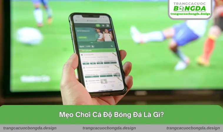 Mẹo chơi cá độ bóng đá là gì?