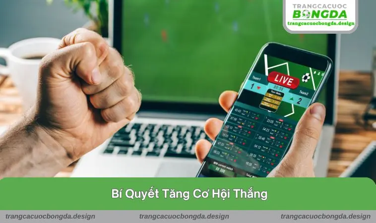 Bí quyết tăng cơ hội thắng trong cá độ bóng đá