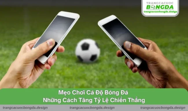 Mẹo chơi cá độ bóng đá