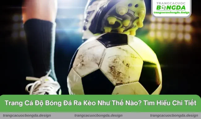 Trang cá độ bóng đá ra kèo như thế nào