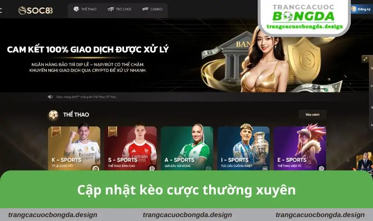 Cập nhật kèo cược thường xuyên