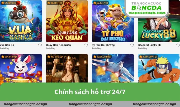 Chính sách hỗ trợ 24/7