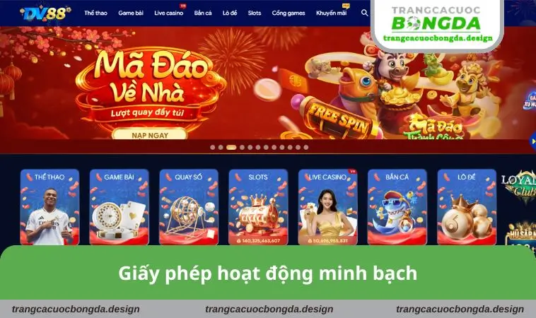 giay phep hoat dong minh bach Giấy phép hoạt động minh bạch